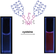 Graphical abstract: Controlled Knoevenagel reactions of methyl groups of 1,3,5,7-tetramethyl BODIPY dyes for unique BODIPY dyes