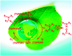 Graphical abstract: Aerobic oxidative N-dealkylation of tertiary amines in aqueous solution catalyzed by rhodium porphyrins