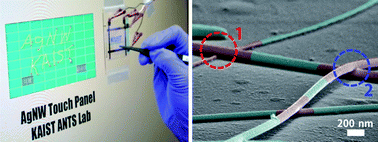 Graphical abstract: Very long Ag nanowire synthesis and its application in a highly transparent, conductive and flexible metal electrode touch panel