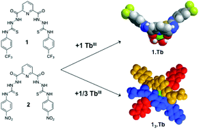 Graphical abstract: Formation of luminescent terbium(iii) self-assemblies from pyridyl bis-amidothioureas based ligands in MeOH and in water–DMSO solutions and their use in anion sensing application