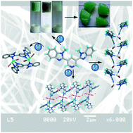 Graphical abstract: Metal–organic gels and coordination networks of pyridine-3,5-bis(1-methyl-benzimidazole-2-yl) and metal halides: self sustainability, mechano, chemical responsiveness and gas and dye sorptions