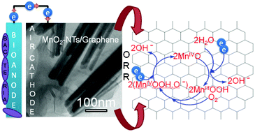 Graphical abstract: Graphene supported α-MnO2 nanotubes as a cathode catalyst for improved power generation and wastewater treatment in single-chambered microbial fuel cells