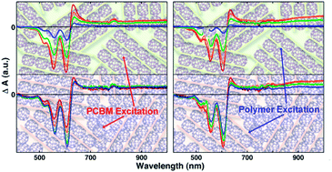 Graphical abstract: The influence of microstructure on charge separation dynamics in organic bulk heterojunction materials for solar cell applications