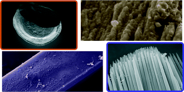 Graphical abstract: A perspective on underlying crystal growth mechanisms in biomineralization: solution mediated growth versus nanosphere particle accretion