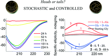 Graphical abstract: Attrition-induced spontaneous chiral amplification of the γ polymorphic modification of glycine