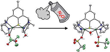 Graphical abstract: N2O reduction at a dissymmetric {Cu2S}-containing mixed-valent center