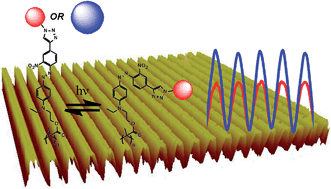 Graphical abstract: Effect of head group size on the photoswitching applications of azobenzene Disperse Red 1 analogues