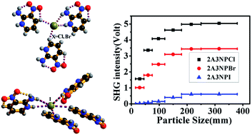 Graphical abstract: Strong enhancement of second harmonic generation in nonlinear optical crystals: 2-amino-3-nitropyridinium halides (Cl, Br, I)
