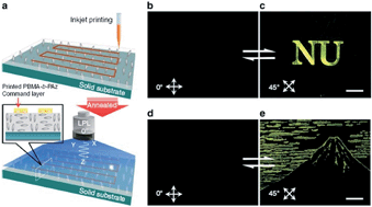 Graphical abstract: Recent twists in photoactuation and photoalignment control