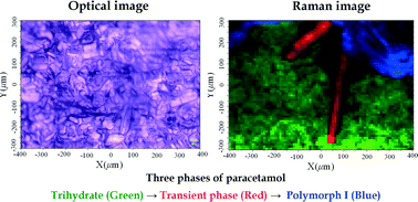 Graphical abstract: In situ Raman mapping for identifying transient solid forms