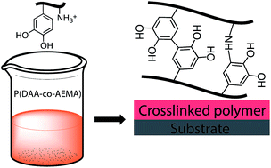 Graphical abstract: A clear coat from a water soluble precursor: a bioinspired paint concept