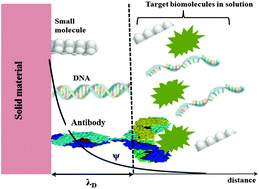 Graphical abstract: Electrochemical processes and mechanistic aspects of field-effect sensors for biomolecules