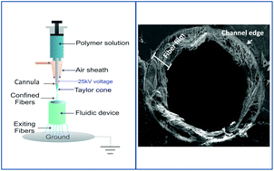 Graphical abstract: Use of electrospinning and dynamic air focusing to create three-dimensional cell culture scaffolds in microfluidic devices