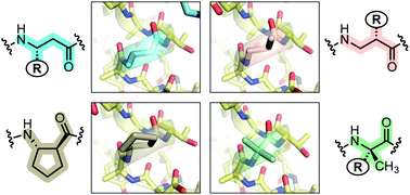 Graphical abstract: Comparison of design strategies for α-helix backbone modification in a protein tertiary fold