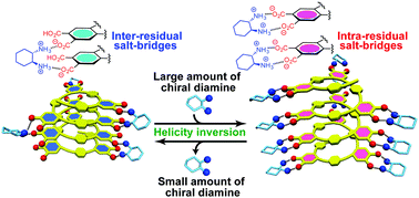 Graphical abstract: Helix–helix inversion of an optically-inactive π-conjugated foldamer triggered by concentration changes of a single enantiomeric guest leading to a change in the helical stability