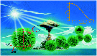 Graphical abstract: One-step synthesis of ultrathin nanobelts-assembled urchin-like anatase TiO2 nanostructures for highly efficient photocatalysis