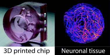 Graphical abstract: A 3D printed microfluidic device for production of functionalized hydrogel microcapsules for culture and differentiation of human Neuronal Stem Cells (hNSC)