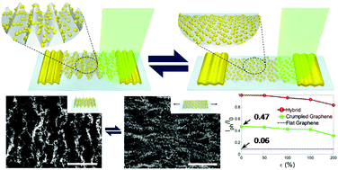 Graphical abstract: A stretchable crumpled graphene photodetector with plasmonically enhanced photoresponsivity