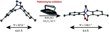 Graphical abstract: Twisting the ethano-Tröger's base: the bisamide