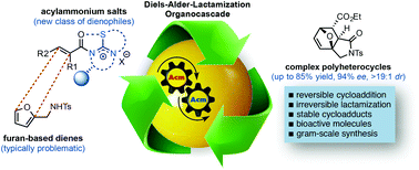 Graphical abstract: Enantioselective Diels-Alder-lactamization organocascades employing a furan-based diene