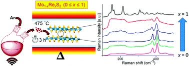 Graphical abstract: Chemical vapour deposition of rhenium disulfide and rhenium-doped molybdenum disulfide thin films using single-source precursors