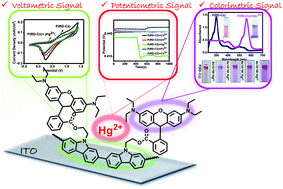 Graphical abstract: Rhodamine-based conjugated polymers: potentiometric, colorimetric and voltammetric sensing of mercury ions in aqueous medium