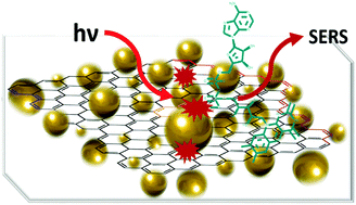 Graphical abstract: Stable graphene oxide–gold nanoparticle platforms for biosensing applications