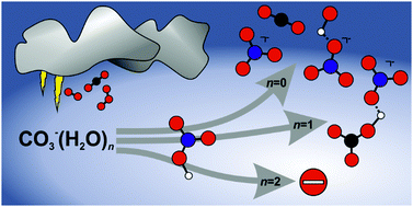 Graphical abstract: Kinetics of the reaction of CO3˙−(H2O)n, n = 0, 1, 2, with nitric acid, a key reaction in tropospheric negative ion chemistry