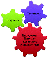 Graphical abstract: Development of endogenous enzyme-responsive nanomaterials for theranostics