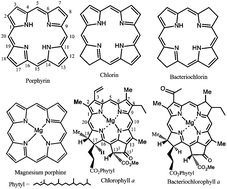 Graphical abstract: Magnesium porphyrins with relevance to chlorophylls