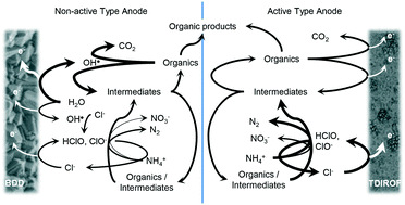 Graphical abstract: Removal rates and energy demand of the electrochemical oxidation of ammonia and organic substances in real stored urine