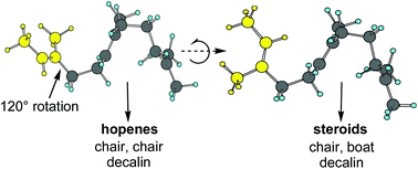 Graphical abstract: Computational studies on the cyclization of squalene to the steroids and hopenes