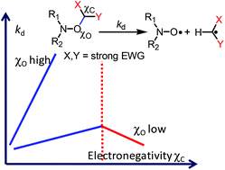 Graphical abstract: C–ON bond homolysis of alkoxyamines: when too high polarity is detrimental