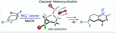 Graphical abstract: Substituent effects on stereoselectivity of dihalocarbene reactions with cyclohexadiene and on the reactivity of bis-dihalocyclopropanes in electrophilic nitrations en route to pyrimidine N-oxides