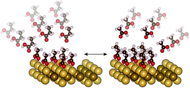 Graphical abstract: Identifying key descriptors in surface binding: interplay of surface anchoring and intermolecular interactions for carboxylates on Au(110)