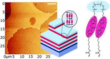 Graphical abstract: Reactive oligo(dimethylsiloxane) mesogens and their nanostructured thin films