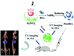 Graphical abstract: Albumin-mediated platinum nanocrystals for in vivo enhanced computed tomography imaging