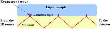 Graphical abstract: Fiber-optic evanescent wave spectroscopy (FEWS) of crystals from a urine sample as a tool for evaluating the chemical composition of kidney stones