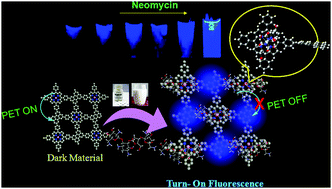 Graphical abstract: A conjugated microporous polymer based visual sensing platform for aminoglycoside antibiotics in water