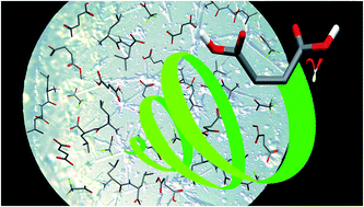 Graphical abstract: Serendipitous isolation of a disappearing conformational polymorph of succinic acid challenges computational polymorph prediction