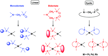 Graphical abstract: Synthesis of platinum, palladium and rhodium complexes of α-aminophosphine ligands