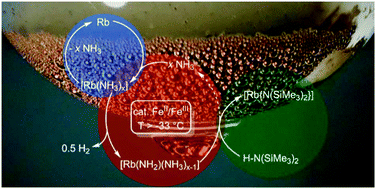 Graphical abstract: Straightforward synthesis of rubidium bis(trimethylsilyl)amide and complexes of the alkali metal bis(trimethylsilyl)amides with weakly coordinating 2,2,5,5-tetramethyltetrahydrofuran