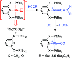 Graphical abstract: A convenient method for the generation of {Rh(PNP)}+ and {Rh(PONOP)}+ fragments: reversible formation of vinylidene derivatives