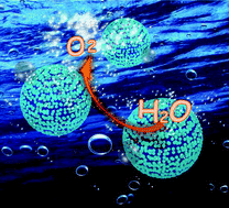 Graphical abstract: Improved oxygen evolution activity of IrO2 by in situ engineering of an ultra-small Ir sphere shell utilizing a pulsed laser