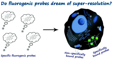 Graphical abstract: Fluorogenic probes for super-resolution microscopy