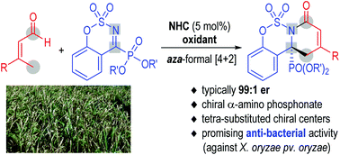 Graphical abstract: Enantioselective access to multi-cyclic α-amino phosphonates via carbene-catalyzed cycloaddition reactions between enals and six-membered cyclic imines