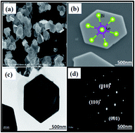 Graphical abstract: Near infrared light activatable PEI-wrapped bismuth selenide nanocomposites for photothermal/photodynamic therapy induced bacterial inactivation and dye degradation