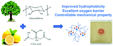 Graphical abstract: Facile and green preparation of hemicellulose-based film with elevated hydrophobicity via cross-linking with citric acid