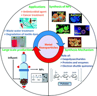 Graphical abstract: A review on the biosynthesis of metal and metal salt nanoparticles by microbes