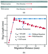 Graphical abstract: Visualization of two-phase reacting flow behavior in a gas–liquid–solid microreactor